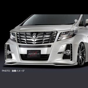 alphard-30-022