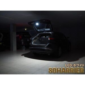 LCL-TY19__02