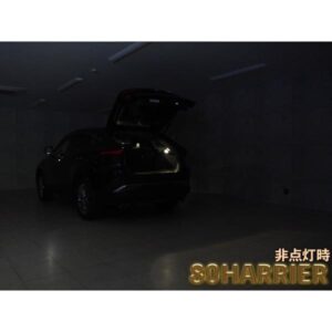 LCL-TY19__03