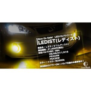 LFB-2Y