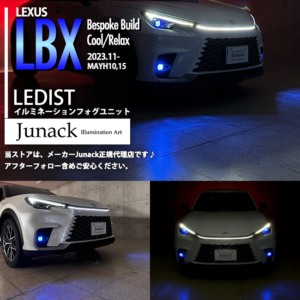 LIF-1