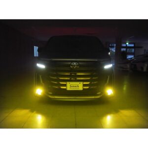 lfb-g60-30-alvel__4